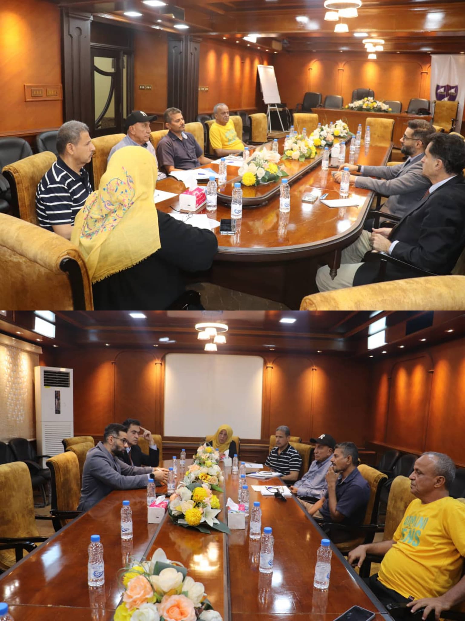 The Deputy Chairman Meets with Development Alternatives Incorporated Company (DAI)